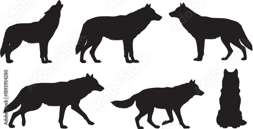 Black silhouettes of wolves in various poses wolf white background