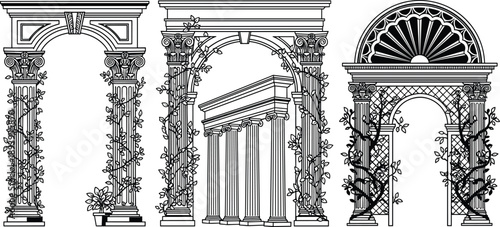 Black and white vector illustration set featuring classical architectural arches with Corinthian columns and decorative climbing vines for elegant garden and wedding frame design
