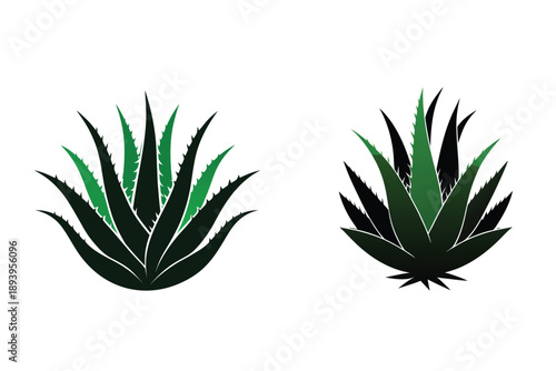 Aloe Vera Plant Silhouette Icon Vector Illustration Medicinal Succulent Plant 