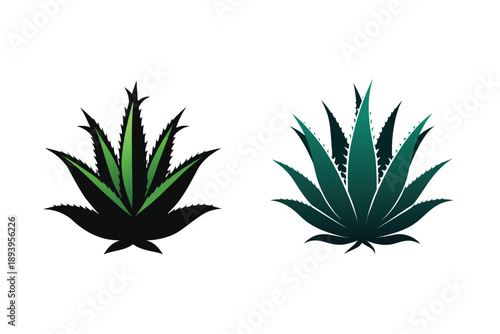 Aloe Vera Plant Silhouette Icon Vector Illustration Medicinal Succulent Plant 