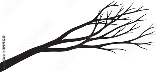 Black Silhouette of Bare Tree Branch on White Background