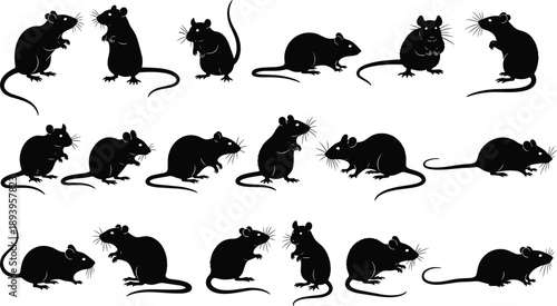 Rat and mouse silhouette set, rodent pest control icons, small field mice collection, animal pest silhouettes, cad drawing flat vector illustration