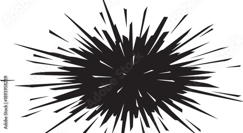 Abstract Black Explosion Graphic Design Element Isolated on White