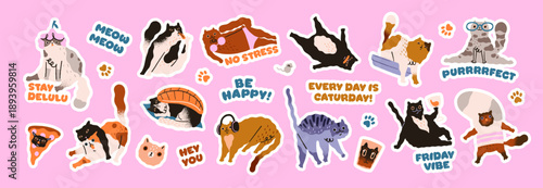 Sticker pack with cute cats and comic phrases. Set of funny kitties in different poses. Silly and adorable kittens. Naughty pets, happy fluffy domestic animals. Flat isolated vector illustrations