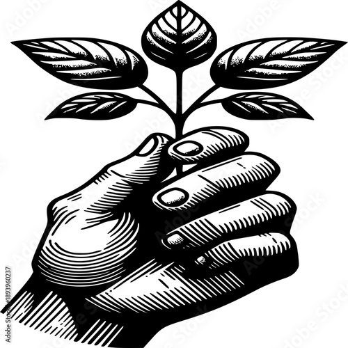 Growth's Embrace: A hand delicately cradles a nascent plant, symbolizing the nurturing of new life, growth, and the care for our environment.