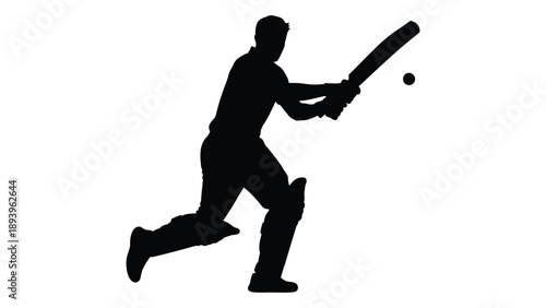 Silhouette of a cricketer in action preparing to hit a cricket ball