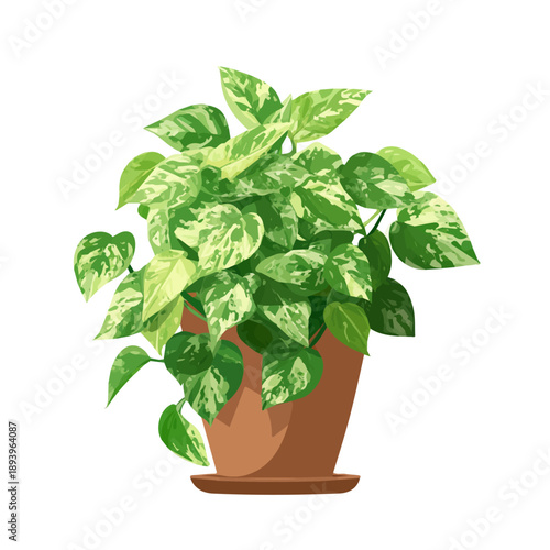 Jade Pothos flat vector illustration in a modern and simple 2D style, placed on a white background.