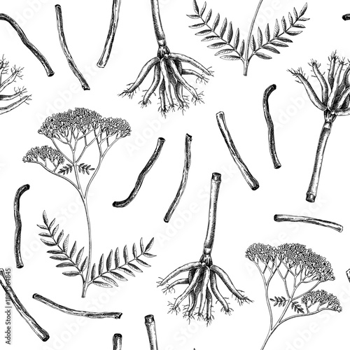 Valerian hand drawn vector illustration. Medicinal plant background. Herbal medicine seamless pattern design. Not AI generated.