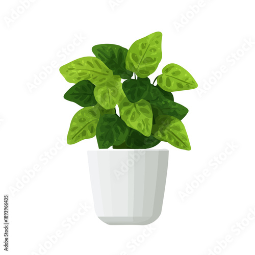 Arrowhead Plant, clean 2D vector flat illustration in minimal and modern style on a white background.