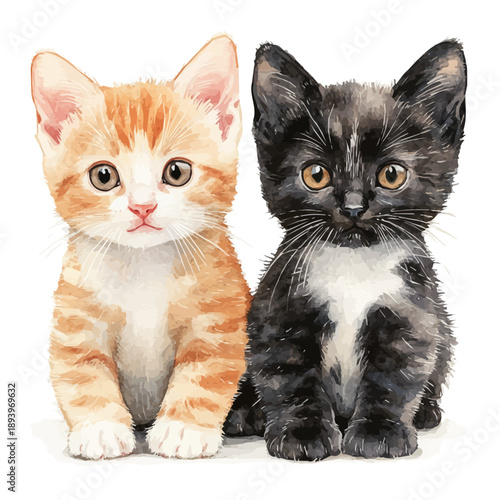 Two Kittens Leaning, delicate painting watercolor vector with vivid brush accents, isolated on a white background.