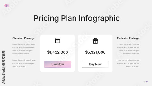Pricing Plan Infographic