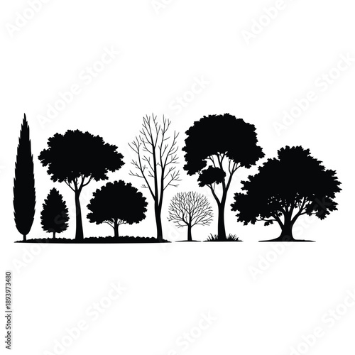Silhouetted trees against a white background depicting a forest landscape