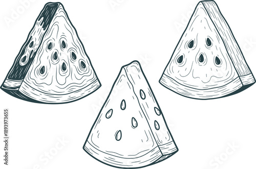 Hand Drawn Watermelon Slice Engraved Vector Set