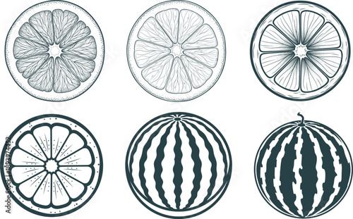 Vintage Citrus And Watermelon Engraved Vector Set