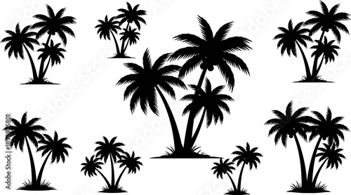 set of black silhouette palm trees on white background for design
