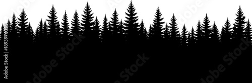 silhouette of pine trees on white background for landscape design