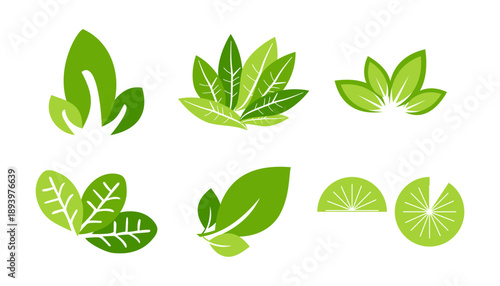Leaves green leaf set icon isolated graphic