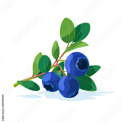 Bilberry, clean 2D vector flat illustration in minimal and modern style on a white background.
