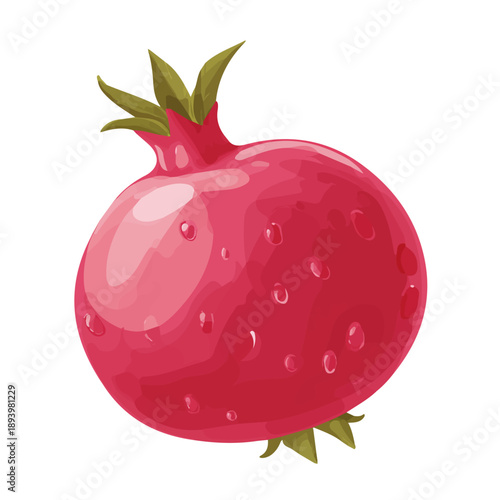 Flat 2D minimalist illustration of a Pomegranate, modern vector design with white background.