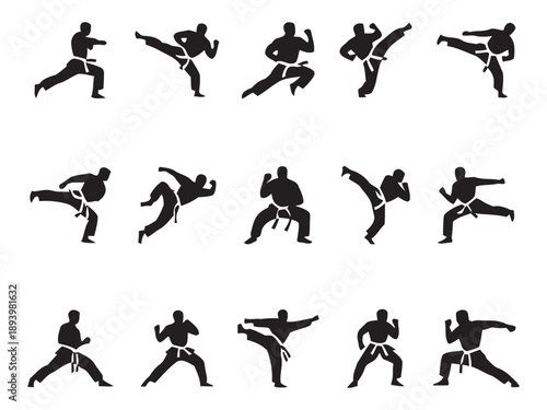 Energetic karate fighters demonstrating different martial arts techniques, including powerful kicks and strong punches, in dynamic black and white silhouettes.