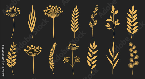 Set of golden plant and leaf silhouettes on a dark background offers elegant and sophisticated botanical elements for luxury brand and designs.