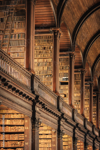 Canvas Print Old library interior with ornate wooden architecture and endless bookshelves