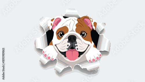 Funny bulldog head popping through a hole in white paper with an excited expression and tongue out illustration.