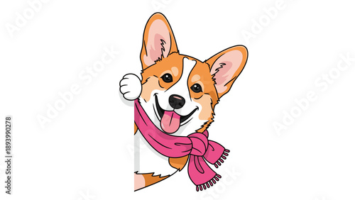 Smiling friendly pembroke corgi dog wearing a pink winter scarf and peeking from the side of a white background.