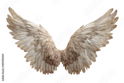 Detailed angel wings, light beige and tan tones, displayed against a black background.  Feathers are intricate and show depth of texture.  Wings are outstretched, in a classic position