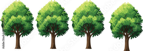 Set of four realistic green deciduous tree illustrations with lush summer foliage isolated on white background for architectural visualization and garden landscape design graphics