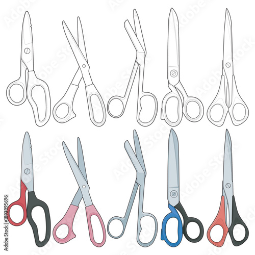 Collection of various scissors types including office scissors, sewing shears, craft scissors, and household cutting tools. Flat vector illustration style isolated on white background.
