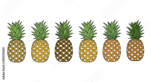 A line of six pineapples with varying patterns and colors are displayed horizontally.