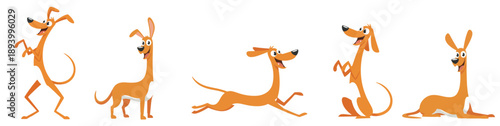 Set of 5 funny orange dog character poses with long necks and slim bodies flat vector illustration