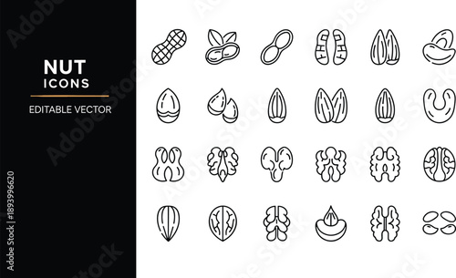 Large set of black and white line icons featuring various healthy nuts and seeds including peanuts almonds walnuts and hazelnuts for organic food and nutrition designs