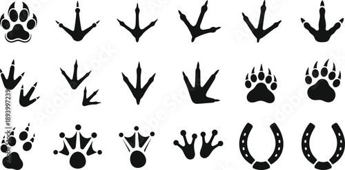 Animal, Tracks, Footprints, Pawprints, Wildlife, Nature, Trail, Signs, Tracking, Predator, Mammal, Bird, Claws, Hoofprints, Silhouette, Black, Vector, Icons, Isolated, Set