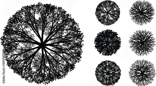 Tree top view silhouettes collection, aerial forest canopy shapes, nature landscaping elements, black vector illustration isolated