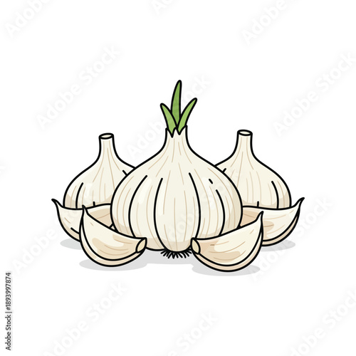 garlic isolated on white