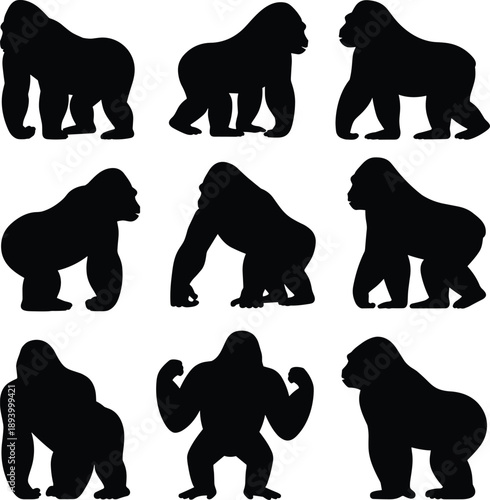 Gorilla, Gorillas, Ape, Apes, Primate, Primates, Animal, Animals, Wildlife, Mammal, Mammals, Silhouette, Silhouettes, Black, Vector, Icon, Icons, Strong, Power, Nature