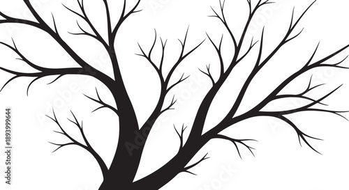 Bare tree branches on white background in black silhouette