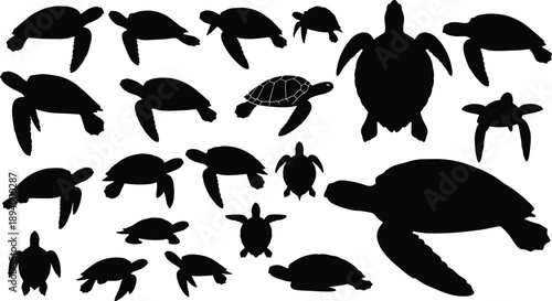 Sea, Turtle, Turtles, Silhouette, Marine, Ocean, Reptile, Wildlife, Aquatic, Animal, Nature, Underwater, Vector, Black, White, Set, Collection, Isolated, Icon, Minimal