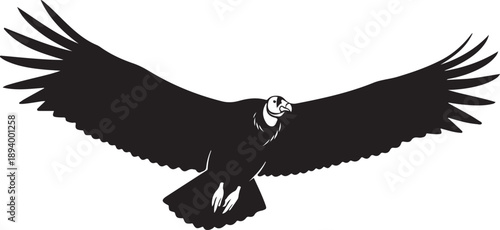 Black silhouette of a condor bird with wings spread wide in flight vulture raptor