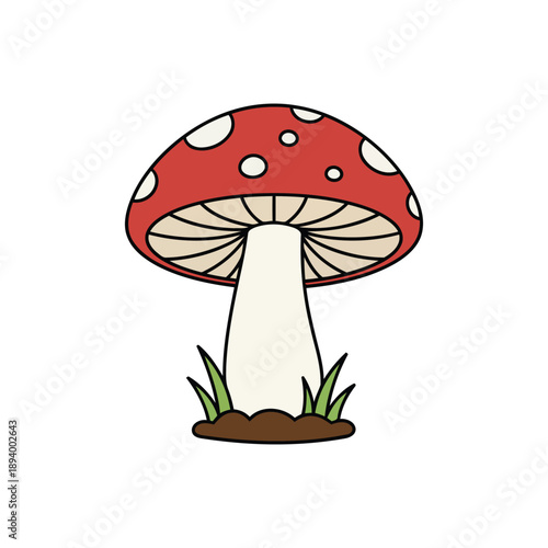 mushroom on a white background