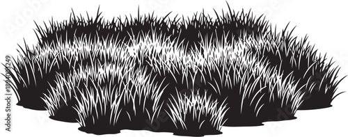 Black and white illustration of grass on white background