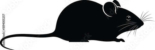 Rat silhouette illustration isolated on white background showing rodent animal shape for pest control symbol vector design