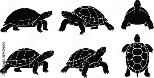 Turtle silhouettes collection different angles reptile animal wildlife nature concept isolated black vector illustration set