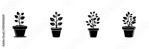 Potted Plant Growth Stages In Hand Drawn Style Set. Botanical Development, Gardening, And Plant Care Doodle Sketch Collection. Nature And Horticulture. Isolated Vector Illustration