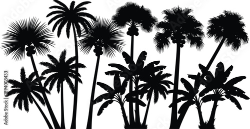 Tropical Palm Tree Silhouettes Isolated on White Background