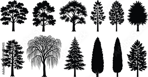 Collection of Black Silhouettes of Evergreen and Deciduous Trees