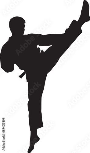 Martial artist silhouette performing a high kick with precision and focus, dynamic martial arts vector.