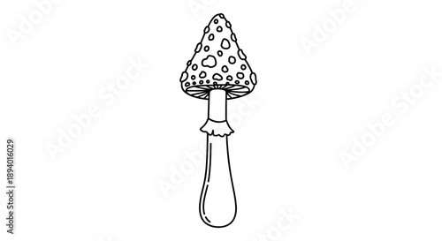Minimalist black and white line drawing of a tall mushroom with a spotted cap for nature education and children coloring book pages.